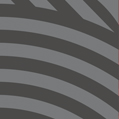 Cement-based adhesives