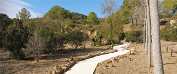 Obra realizada con Paviland Nature en Villamarchante